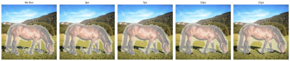 Mask blur options png